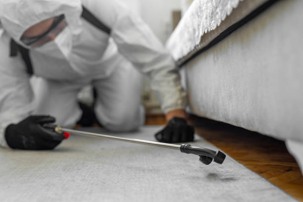 Professional Termite Control technician working in Moweaqua, IL