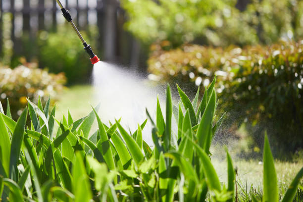 24/7 Emergency Termite Control experts in Moweaqua, IL