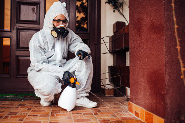 Reliable Termite Control contractor in Moweaqua, IL by Nex Pest Control