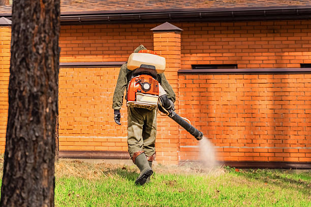 Top rated local Termite Control specialists in Moweaqua, IL